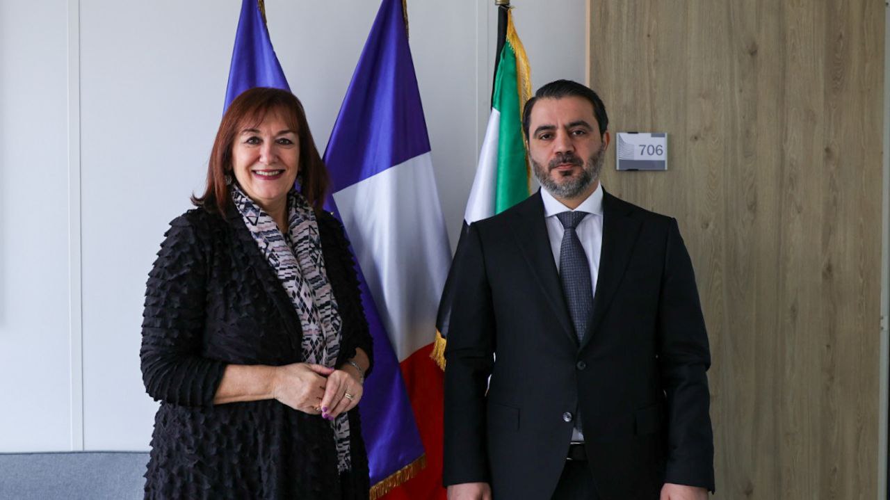 لقاء وزير الخارجية مع مفوضة الاتحاد الأوروبي لشؤون البحر الأبيض المتوسط