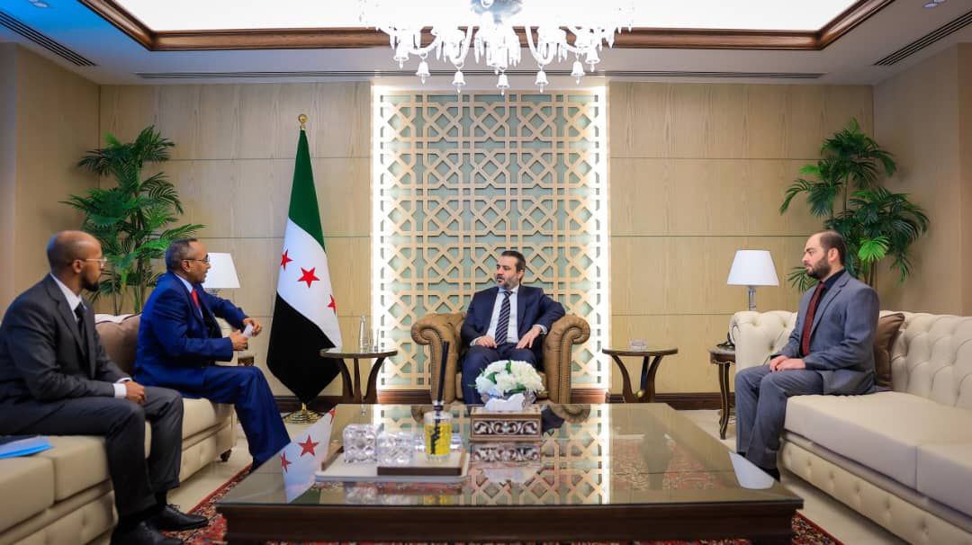 Foreign Minister Al-Shaibani Meets New Somali Ambassador